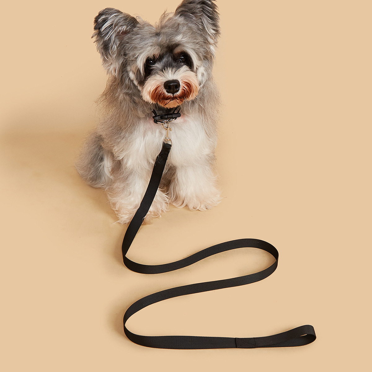 Pet Leash & Collar Set, Durabl - Headcollar Rope Set avis et prix