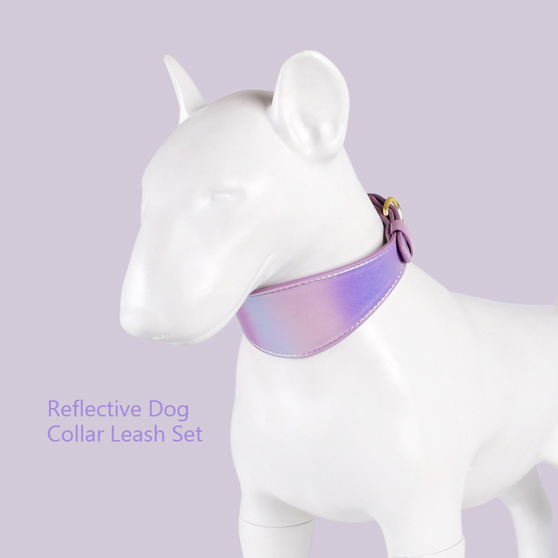 REFLECTIVE LEATHER DOG COLLAR  - Headcollar Rope Set avis et prix
