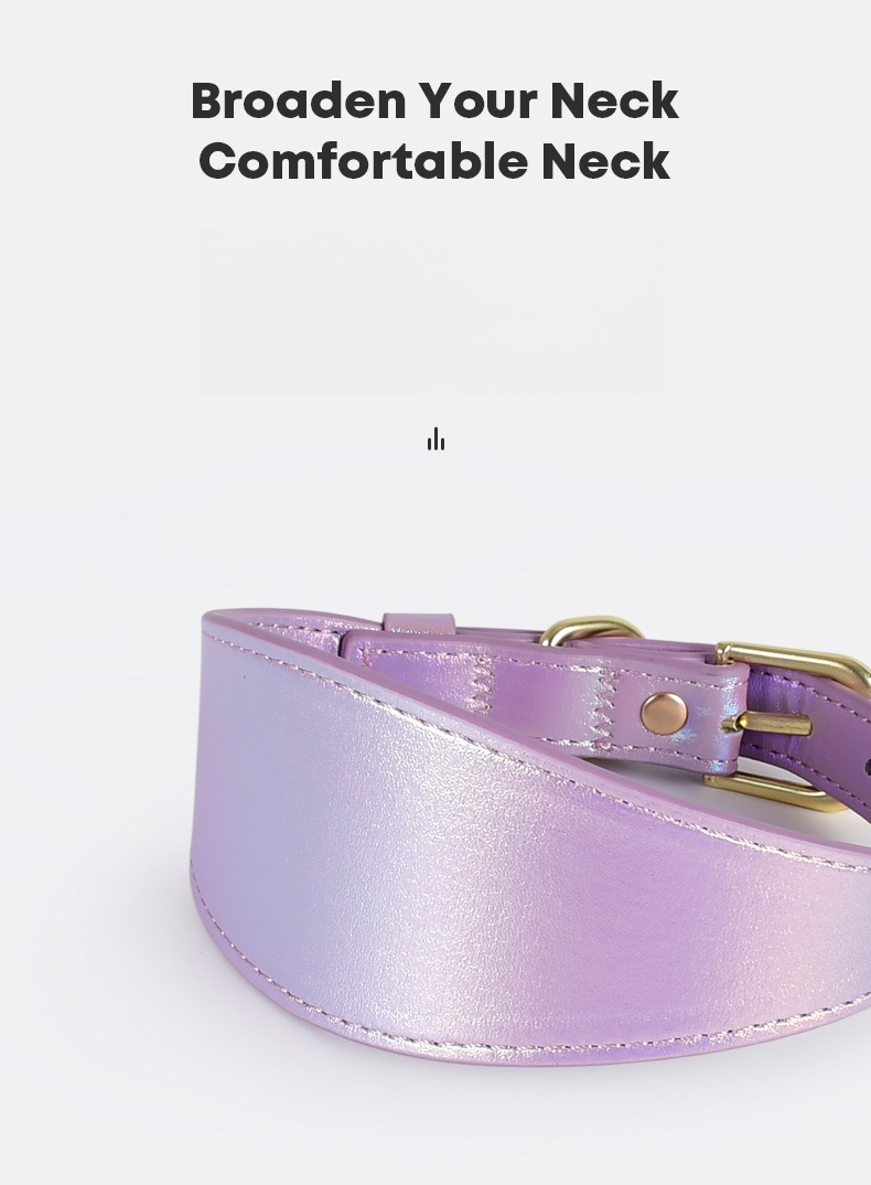 REFLECTIVE LEATHER DOG COLLAR  - Headcollar Rope Set avis et prix