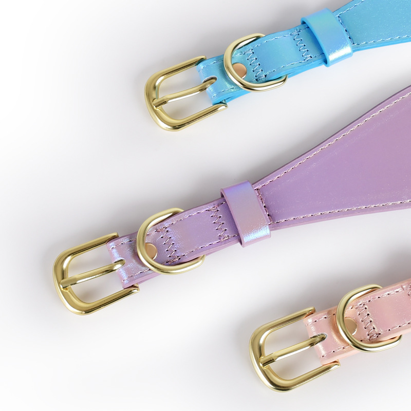 REFLECTIVE LEATHER DOG COLLAR  - Headcollar Rope Set avis et prix