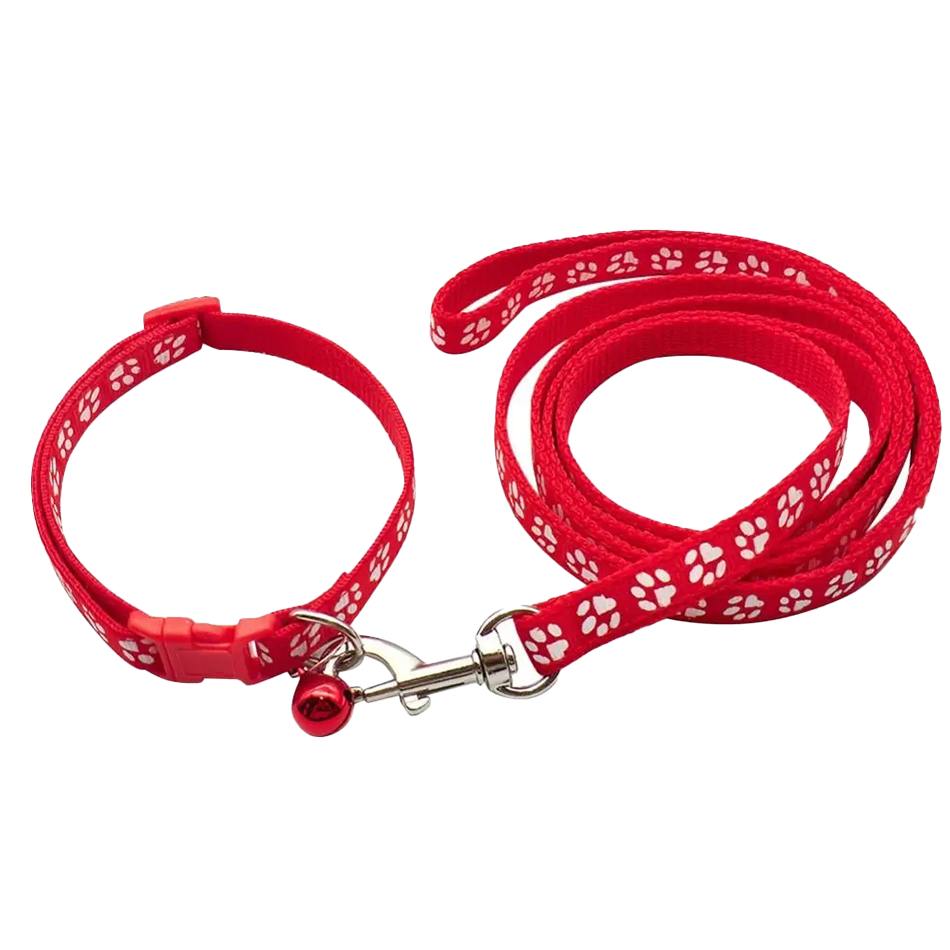 Dog Paw Print Pet Traction Rop - Headcollar Rope Set avis et prix