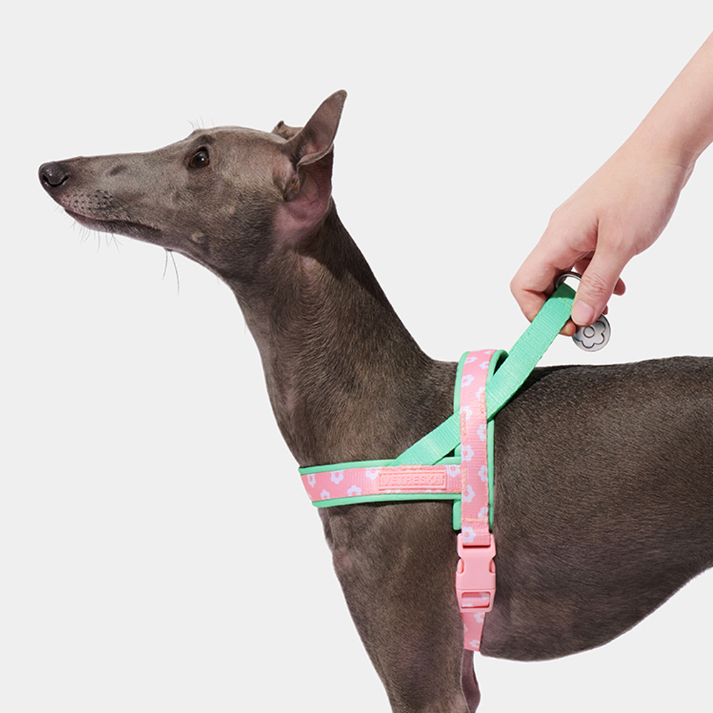 Luxury Pet Chest Strap Tractio - Headcollar Rope Set avis et prix