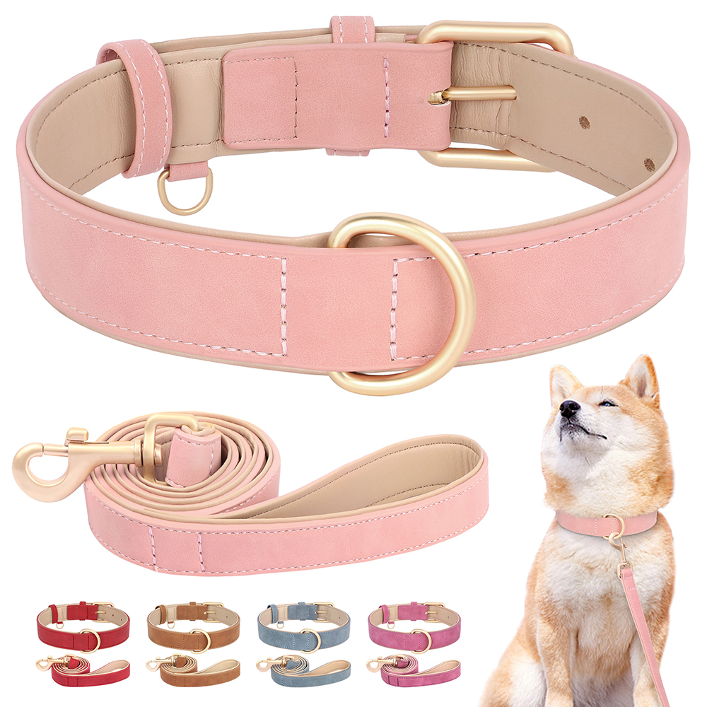 Soft Padded Dog Collar Leash S - Headcollar Rope Set avis et prix