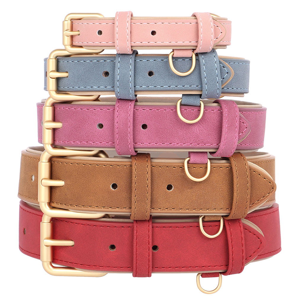 Soft Padded Dog Collar Leash S - Headcollar Rope Set avis et prix