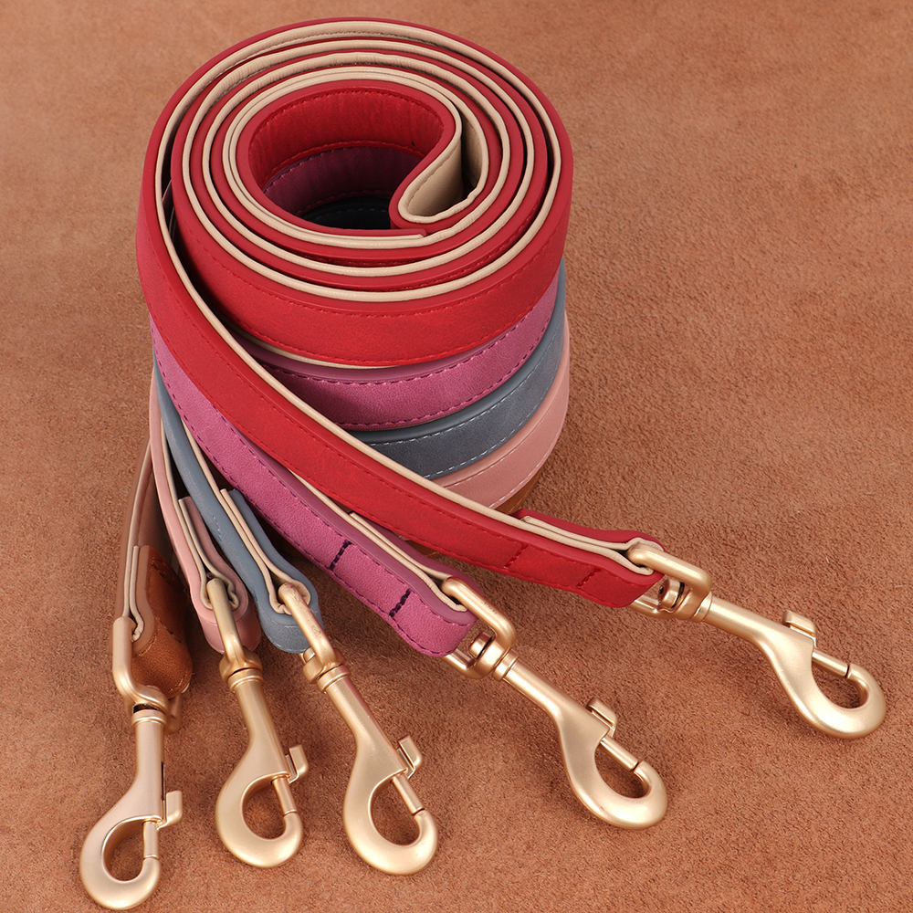 Soft Padded Dog Collar Leash S - Headcollar Rope Set avis et prix