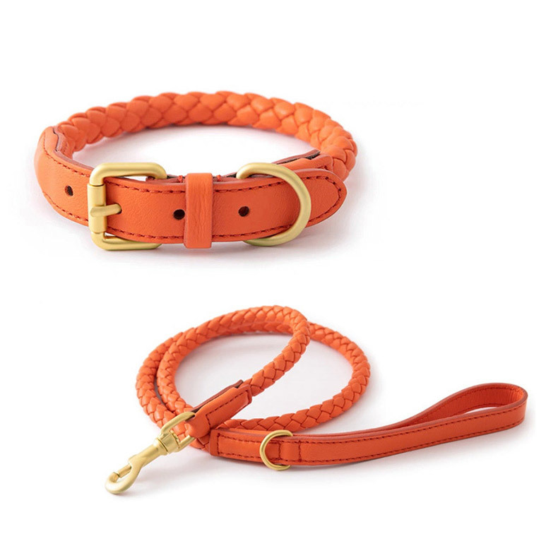 Adjustable Braided Leather Pet - Headcollar Rope Set avis et prix