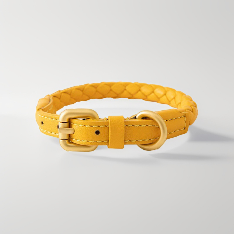 Adjustable Braided Leather Pet - Headcollar Rope Set avis et prix