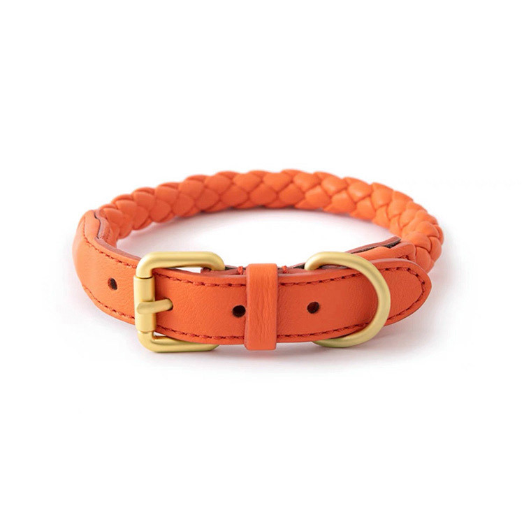 Adjustable Braided Leather Pet - Headcollar Rope Set avis et prix